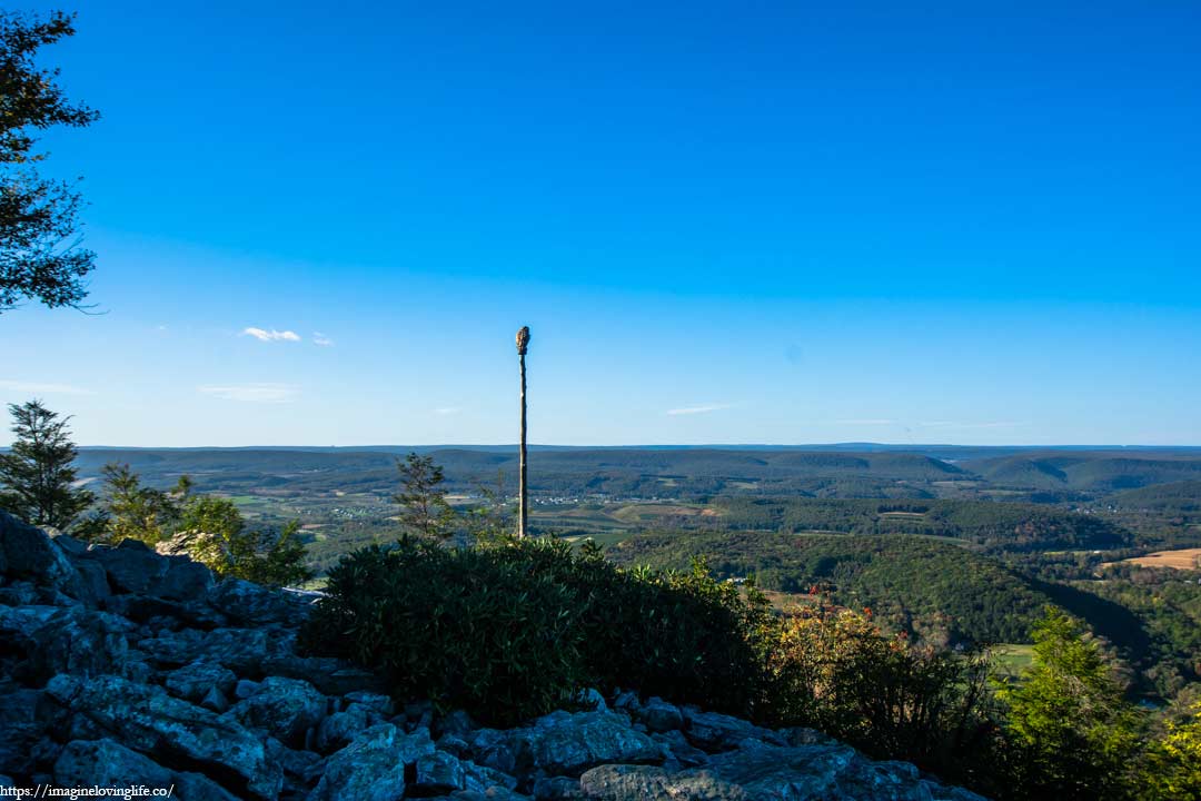 north lookout